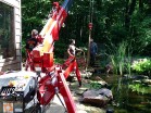 Spydercrane URW295 - Landscaping Project Spydercrane URW295 - Landscaping Project